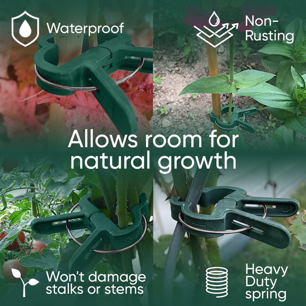 Grow1 Small Plant Clips (50 pack) - Image 3