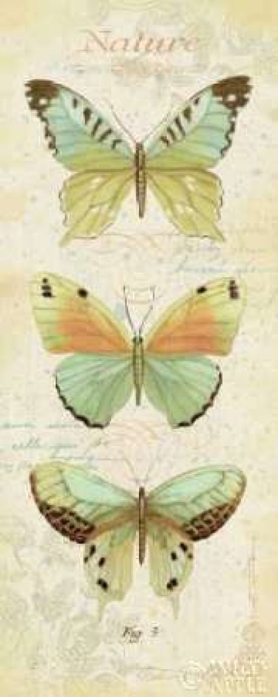 Cote Jardin V Poster Print by Daphne Brissonnet (10 x 20)