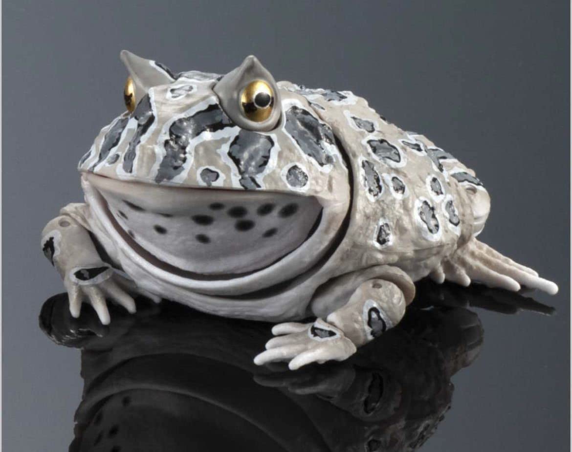 Amazon | いきもの大図鑑アドバンス クランウェルツノガエル グレー