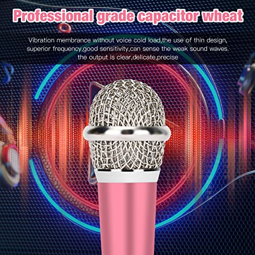 DELADOLA Mini Microphone - Portable Vocal ASMR for Voice Recording ...