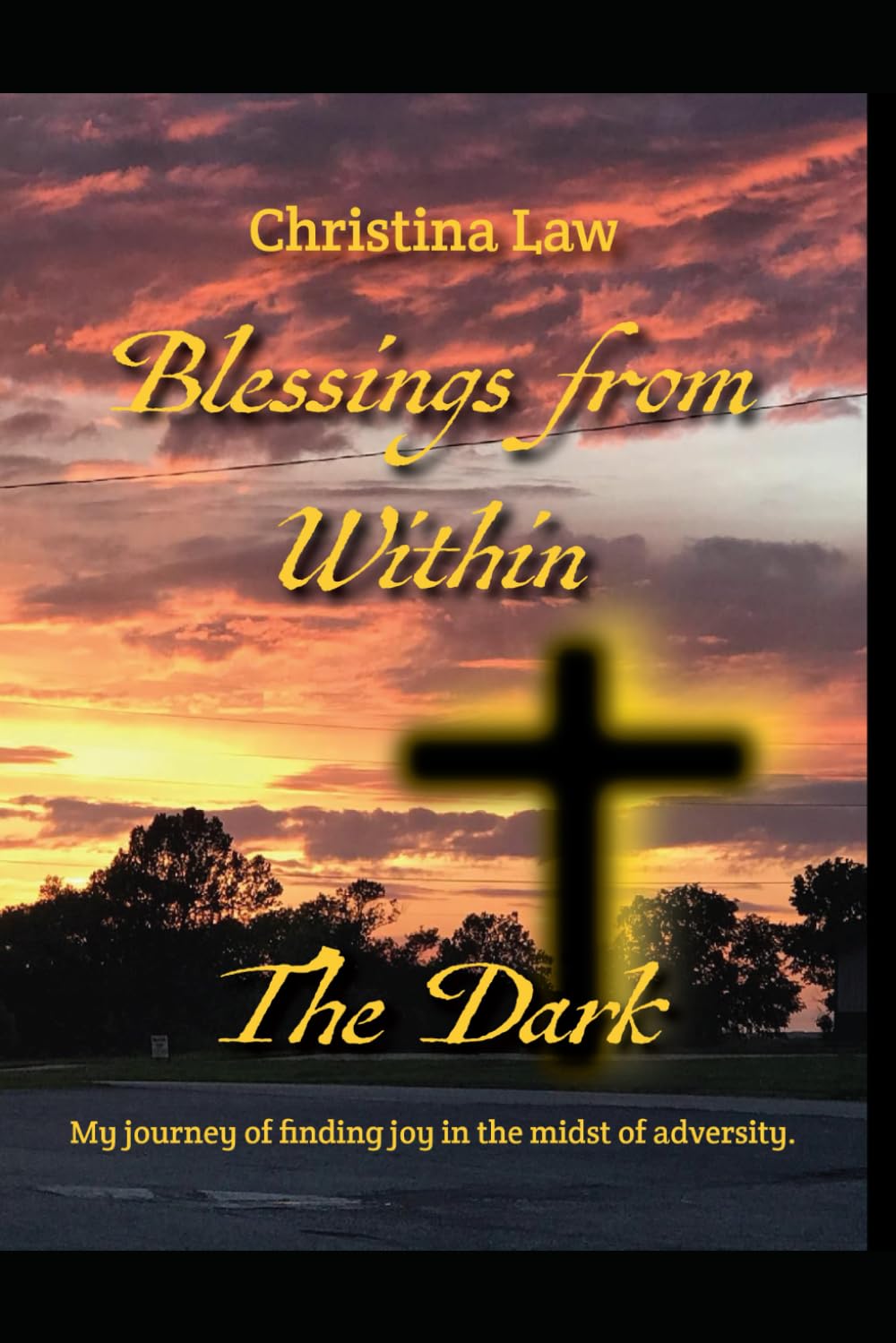 Blessings From Within The Dark...: My journey of finding joy in the midst of adversity,
