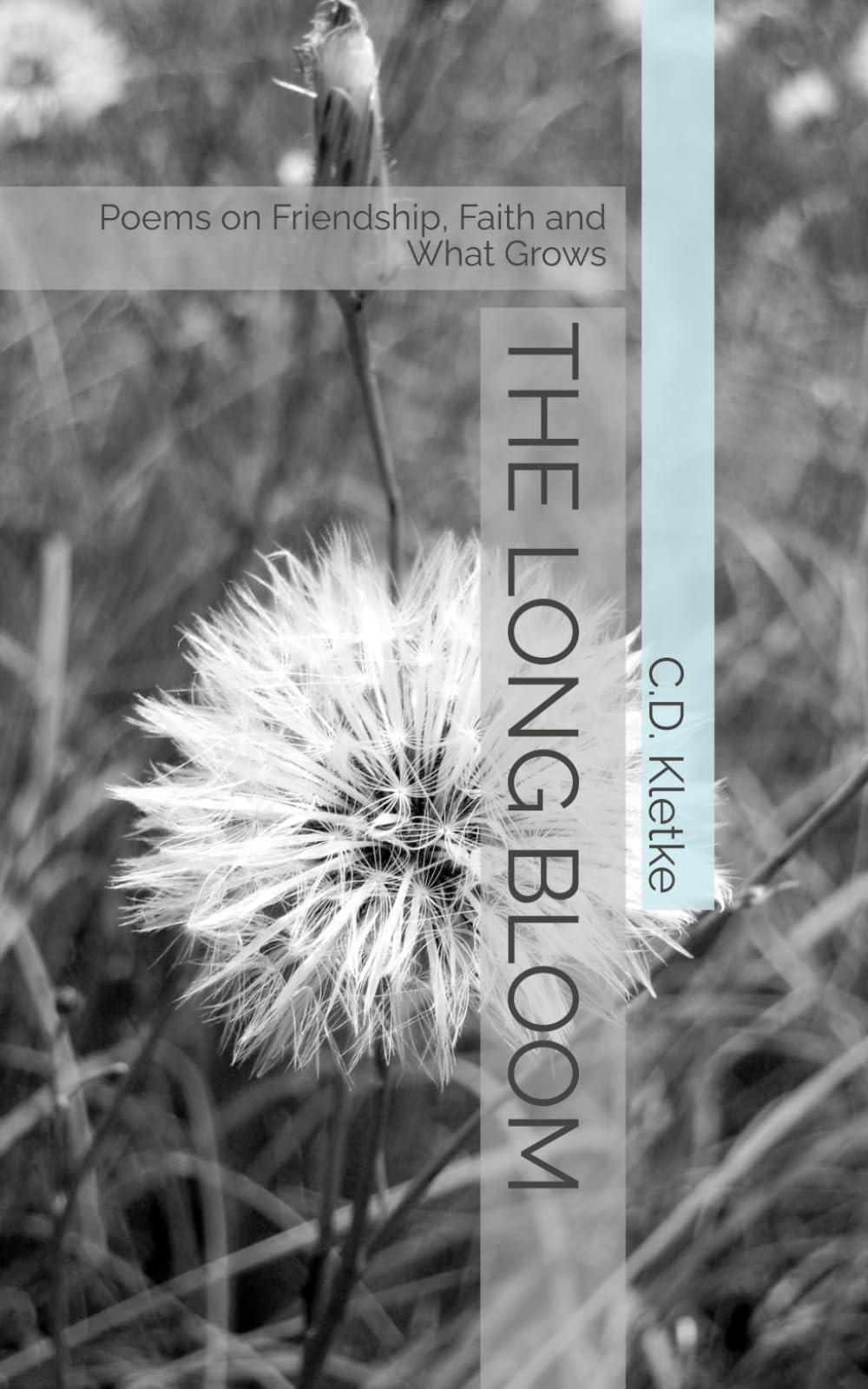 THE LONG BLOOM: Poems on Friendship, Faith and What Grows