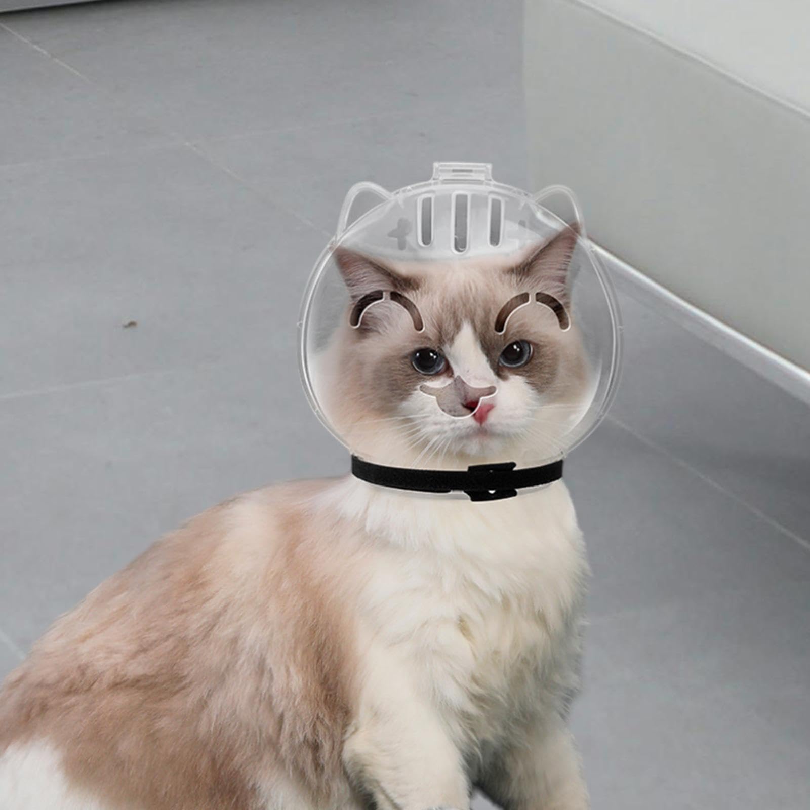 LOVIVER Bozal para Gato, protección, Capucha antilamer, Cubierta Transparente Ajustable para la Boca del Gato, para baño de Belleza, Suministros para