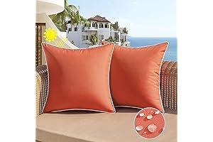 All Smiles Waterproof Burnt Orange Patio Pillows