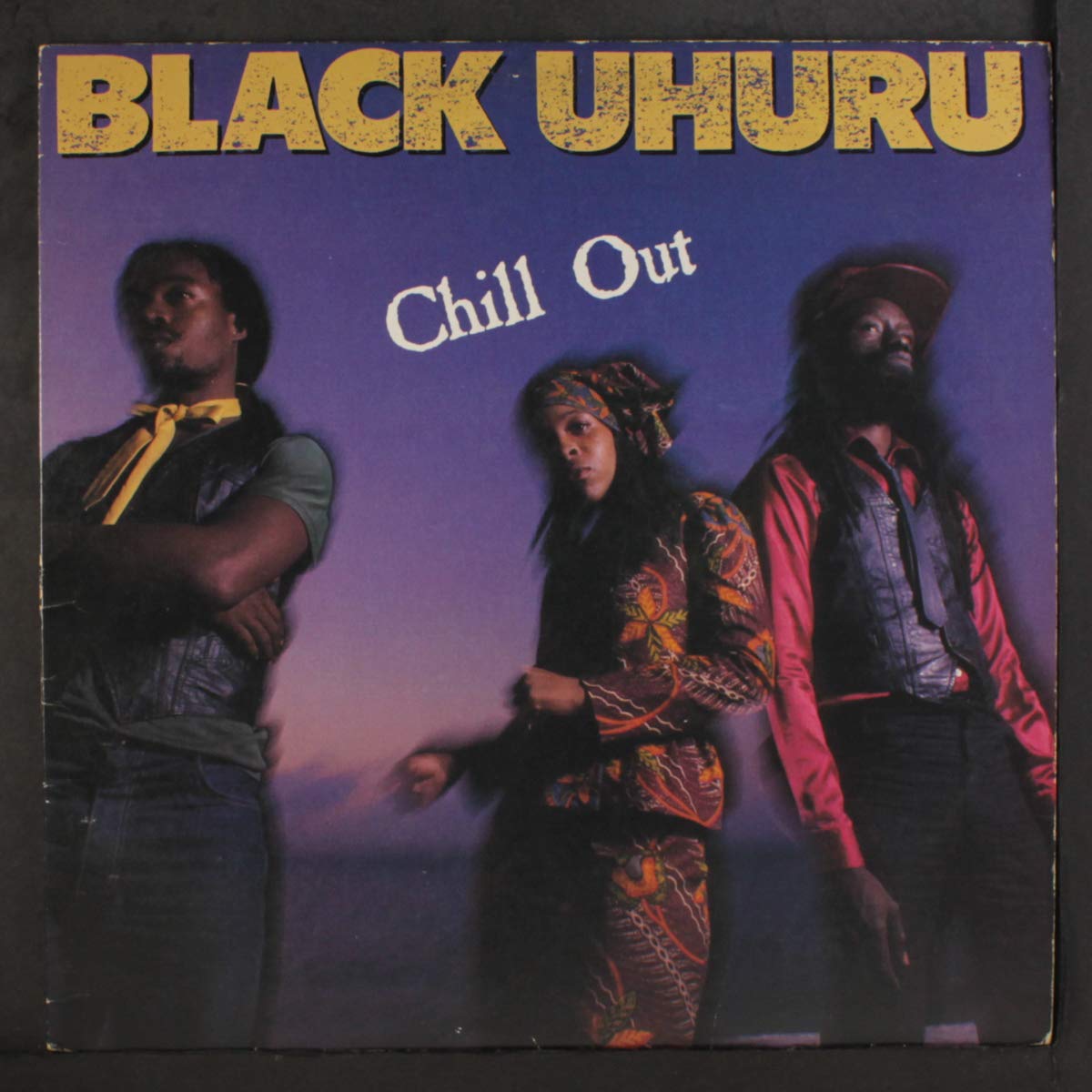 Chill out / Vinyl record [Vinyl-LP]
