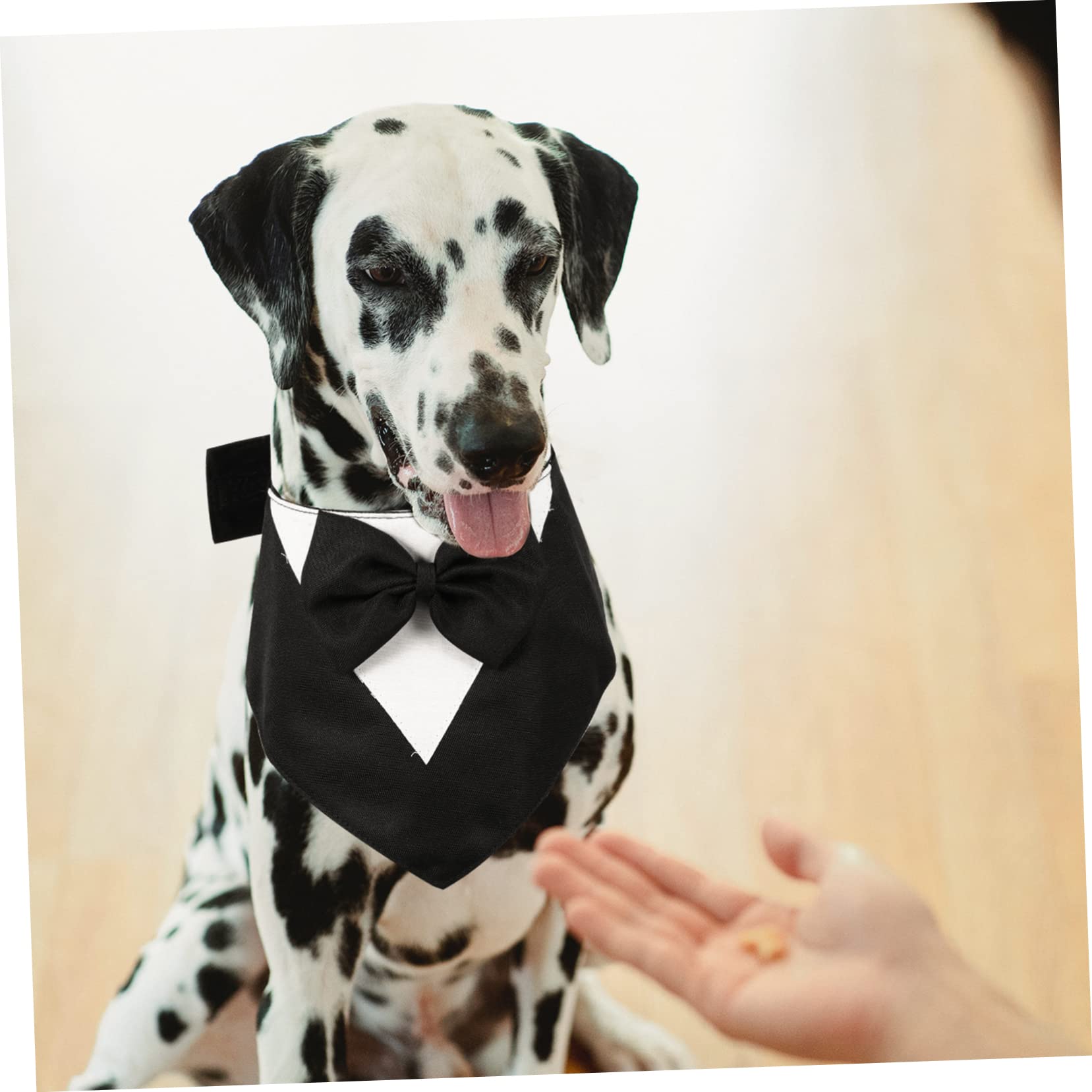 FOMIYES Lot De 5 Foulards Élégants pour Chien Nœud Bandana Accessoire pour Sorties Et Événements