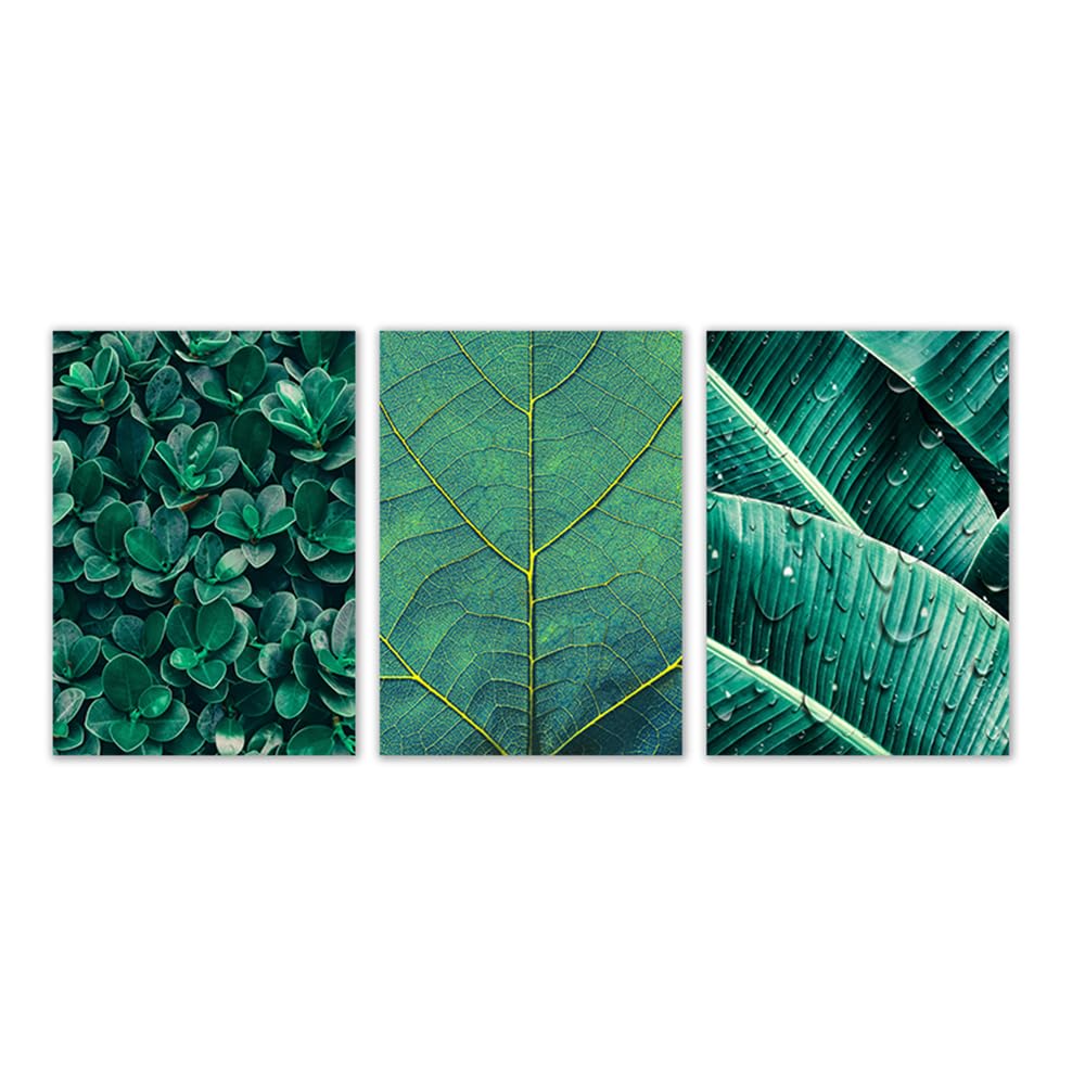 WBYZAC Wall Pictures-Green Plant Leaf Botanical Wall Art Canvas Posters Prints Nordic Painting Wall Picture for Living Room Bedroom Kitchen Home Decor-30 * 50cm*3PCS (No Frame)