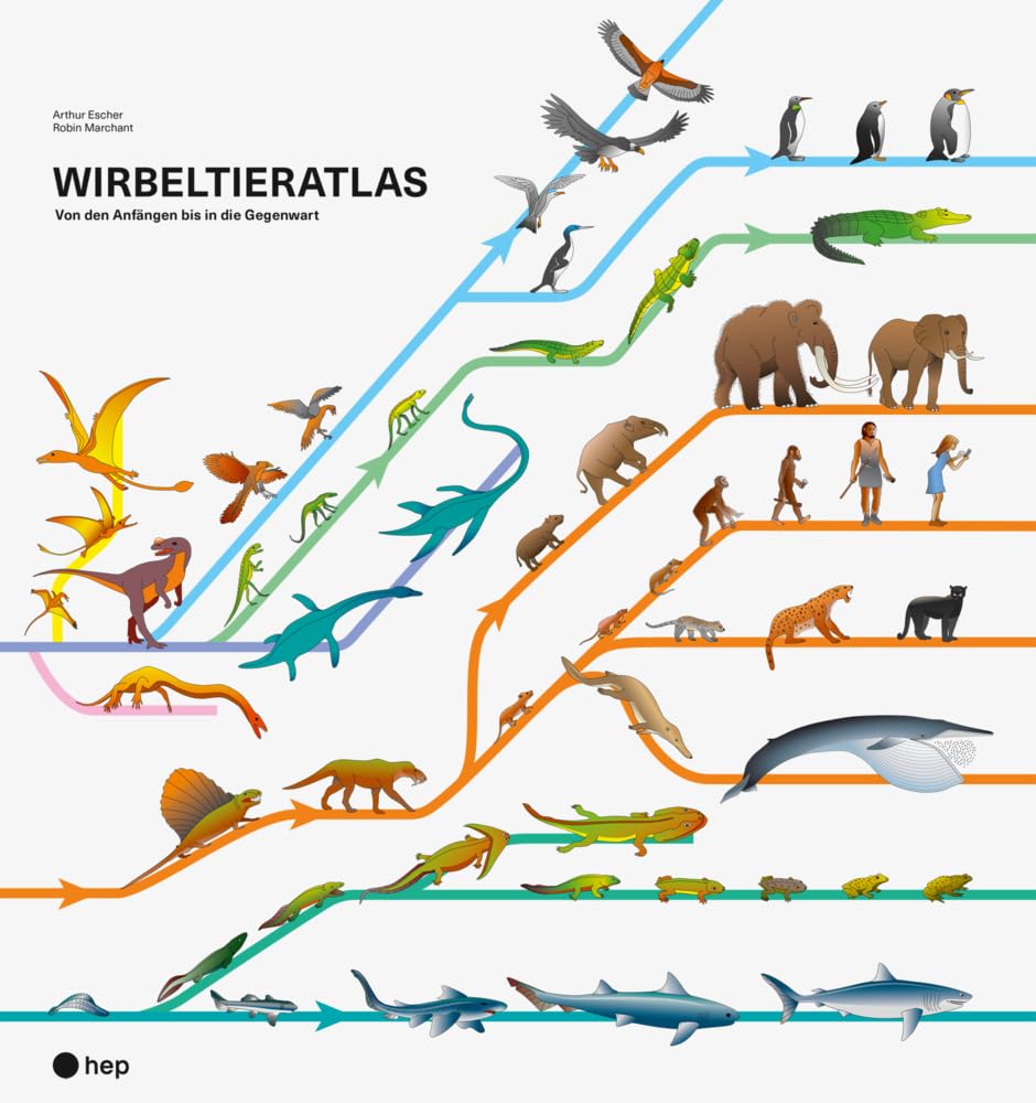 Wirbeltieratlas: Von den Anfängen bis in die Gegenwart