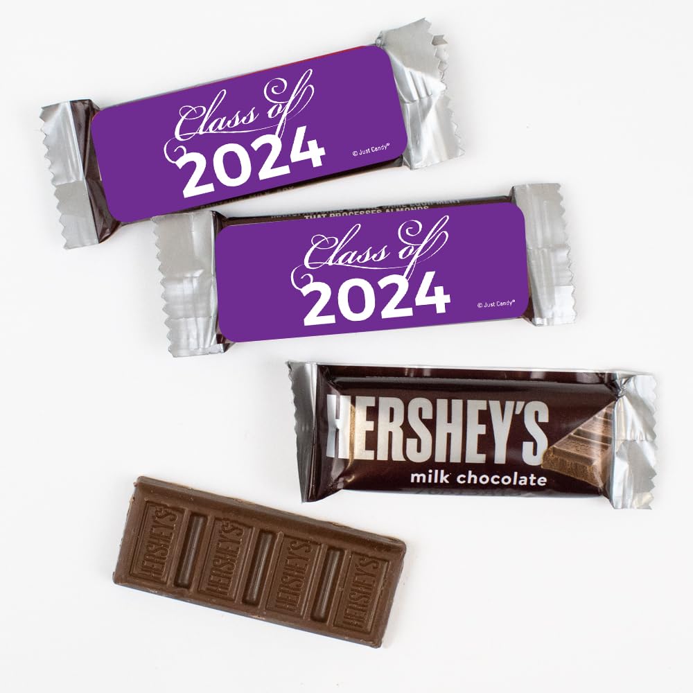 Purple Graduation Candy Snack Size Chocolate Bars