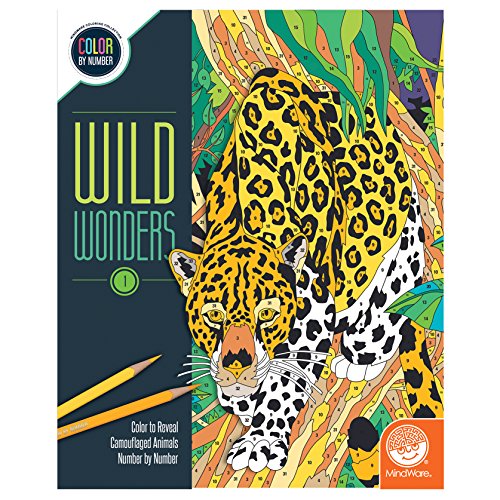 Color by Number Wild Wonders (Book 1)