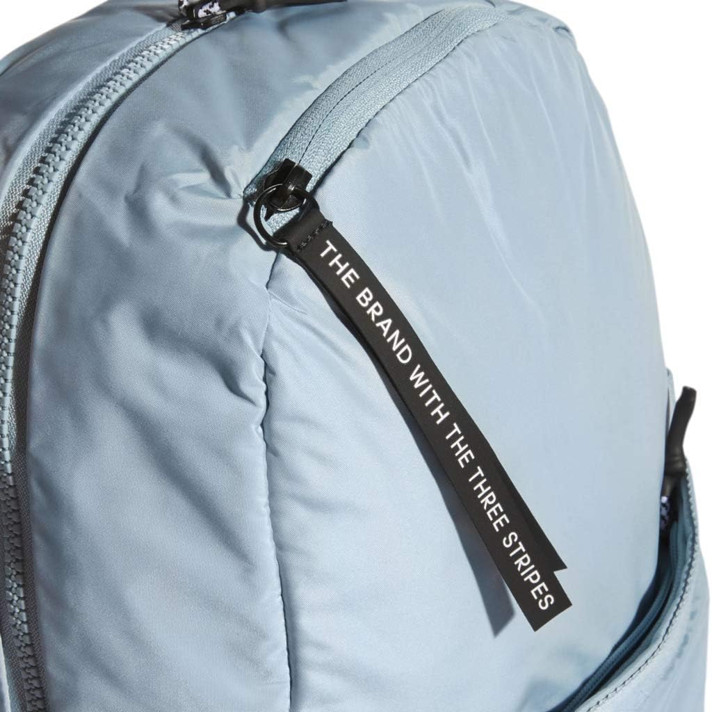 adidas Women's VFA Backpack, Ash Grey, ONE SIZE