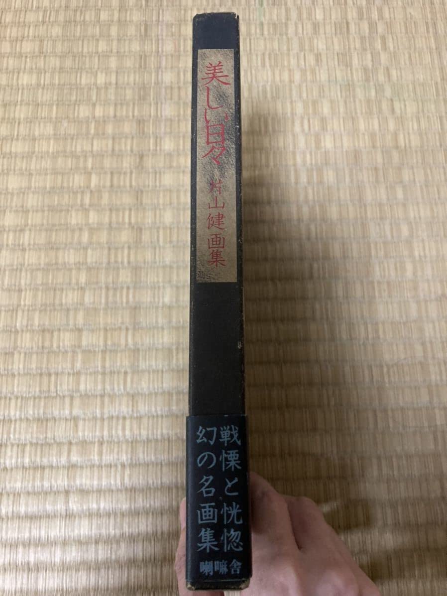 Amazon.co.jp: 画集 片山健 美しい日々 帯付 喇嘛舎 : おもちゃ