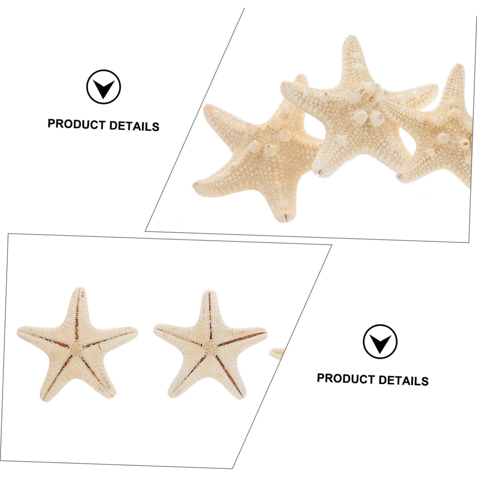 BCOATH 4pcs Natural Decorative Ornaments Sea Shells for Decorating Accessories Centerpiece Table Decorations Wall Decor Home Decor