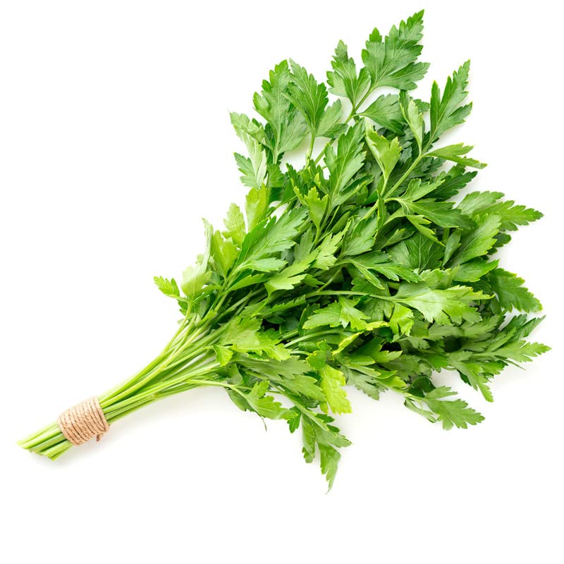 Perejil-Gigante Italiano (100 Semillas) disponible en Yaxa Mexico