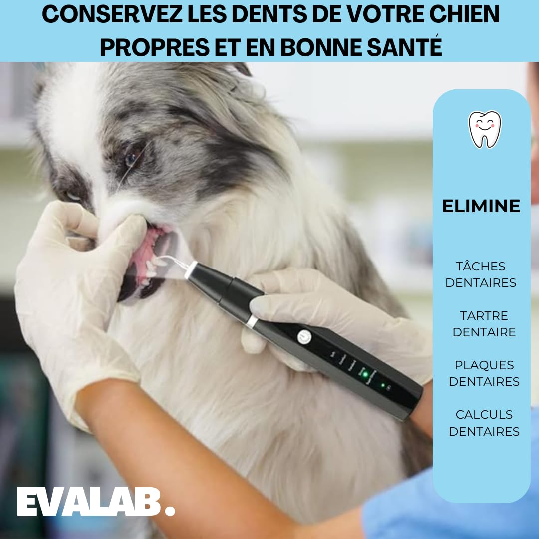 Cepillos de dientes para perros y gatos – Kit de detartrage dental – para limpiar los dientes de perros y gatos