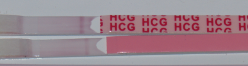 Review Image by J. Rosenberg J. Rosenberg