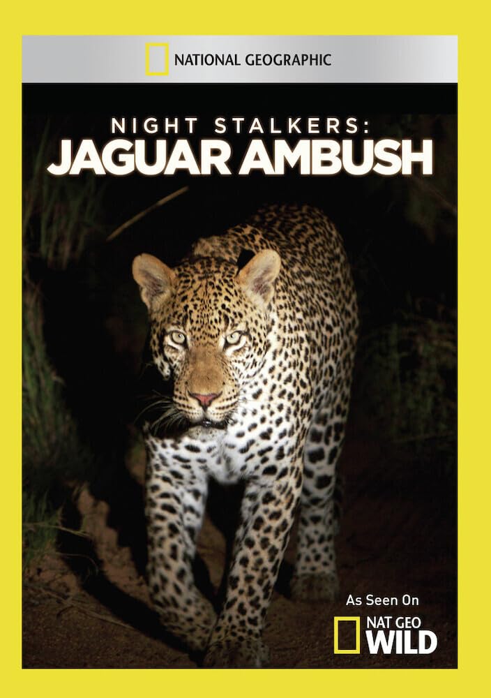 Night Stalkers: Jaguar Ambush en DVD con impactantes imágenes de caza nocturna