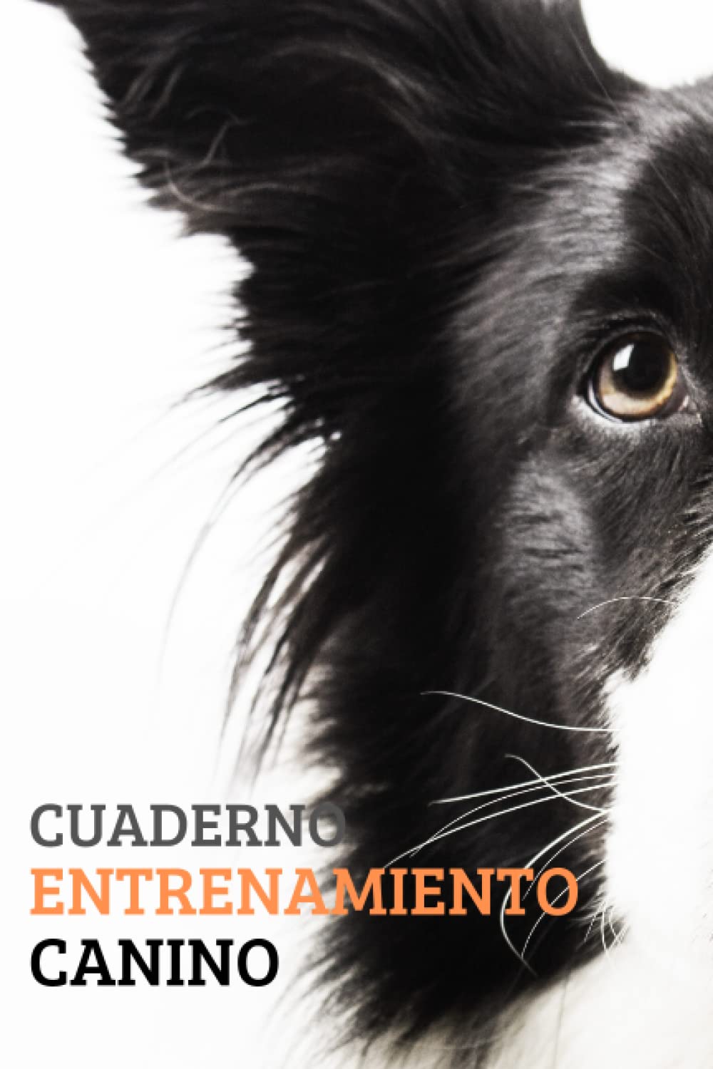 Cuaderno Entrenamiento Canino: Cuaderno de seguimiento de entrenamiento de perros y cachorros, aprendizaje, educación y entrenamiento de perros, una ... entrenar a su mascota de manera efectiva