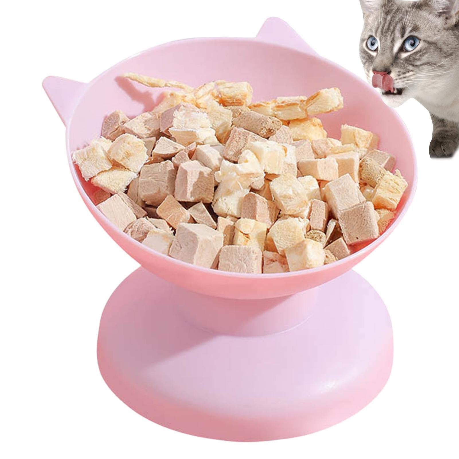 Bexdug Purple Raised Cat Food Bowls - Anti-Vomiting Pet Feeder - Puppy Feeding Dishes For Food And Water, 15 Degree Tilted Protect Cat's Spine