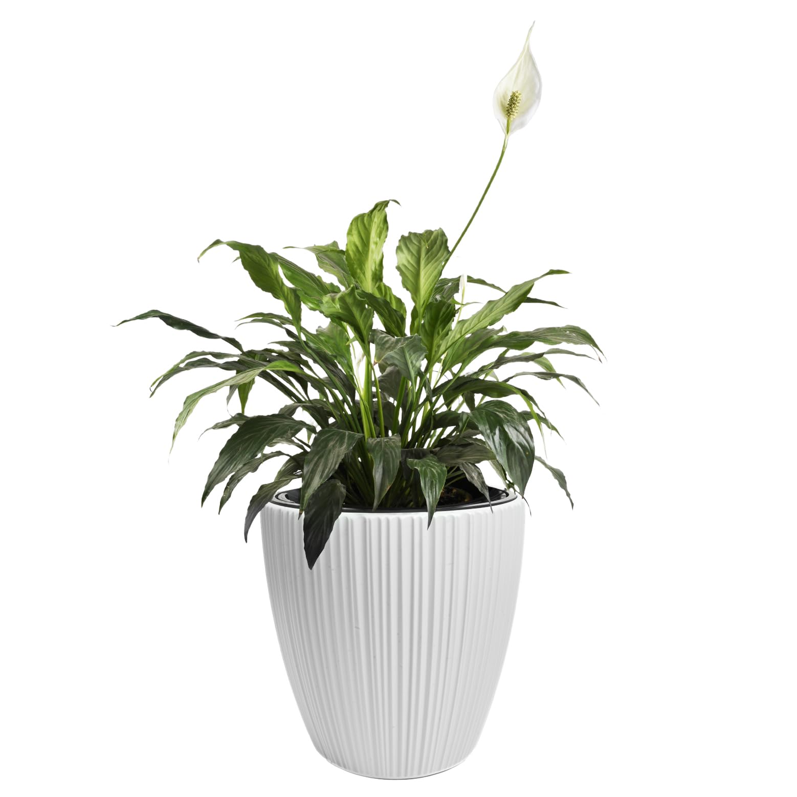 B2C Flowerpot Ridged Planter with removable insert Indoor Outdoor Modern Vertical grooves textured for home office patio garden decoration (White, W40cm x H40cm)
