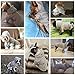 LeerKing Hundepullover Fleece Pullover Hoodie Pyjama Flauschiger Katzenpullover für kleine mittelgroße Hund Französische Bulldogge Kleidung Dackel Chihuahua L