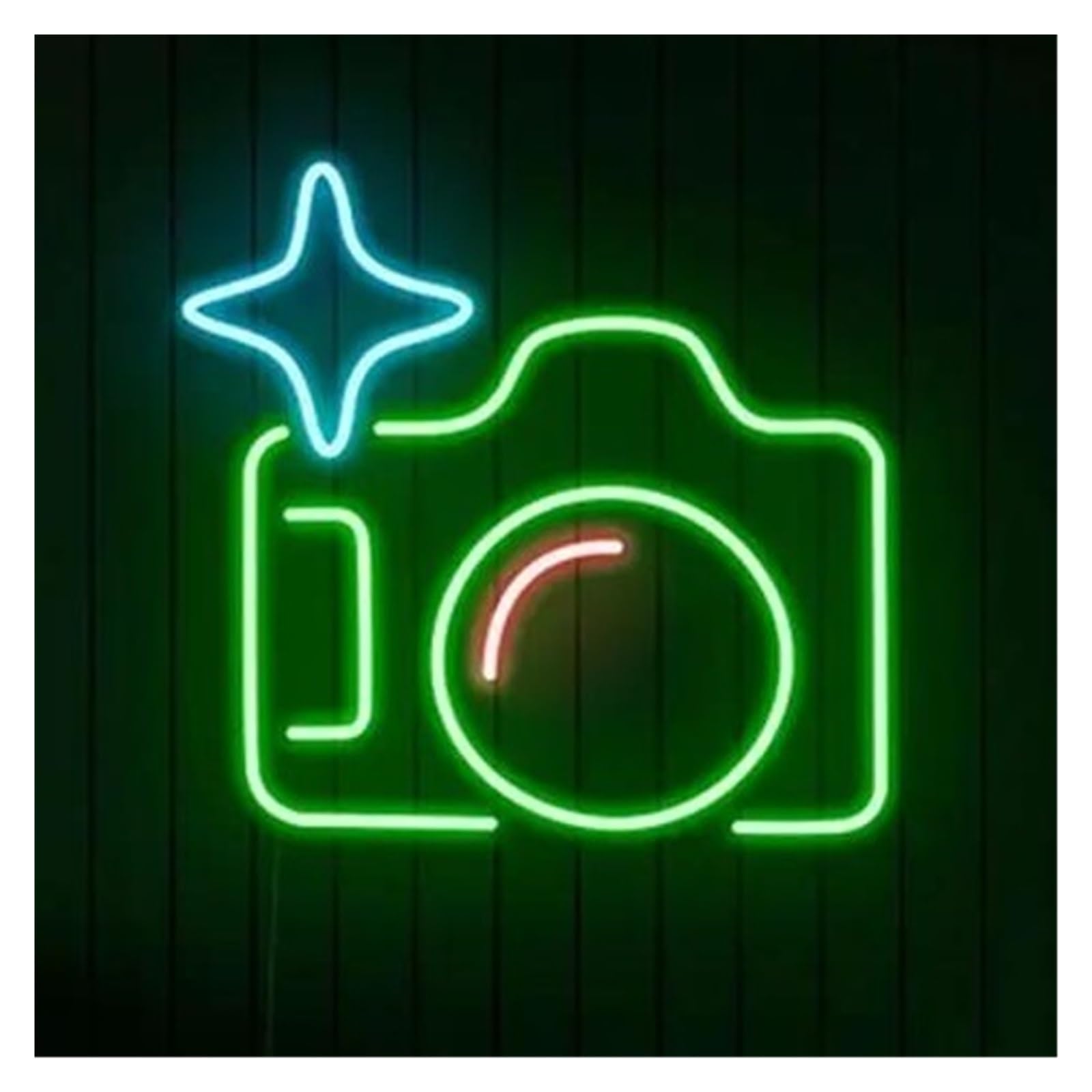 Lemst Boys C Signs Lamp Amera Neon Sign Photography Light Dimmable Usb Powered For Bedroom Bar Lub Business Shop Kids Girl Room Wall Art Decor 38Cmx33cm(C)