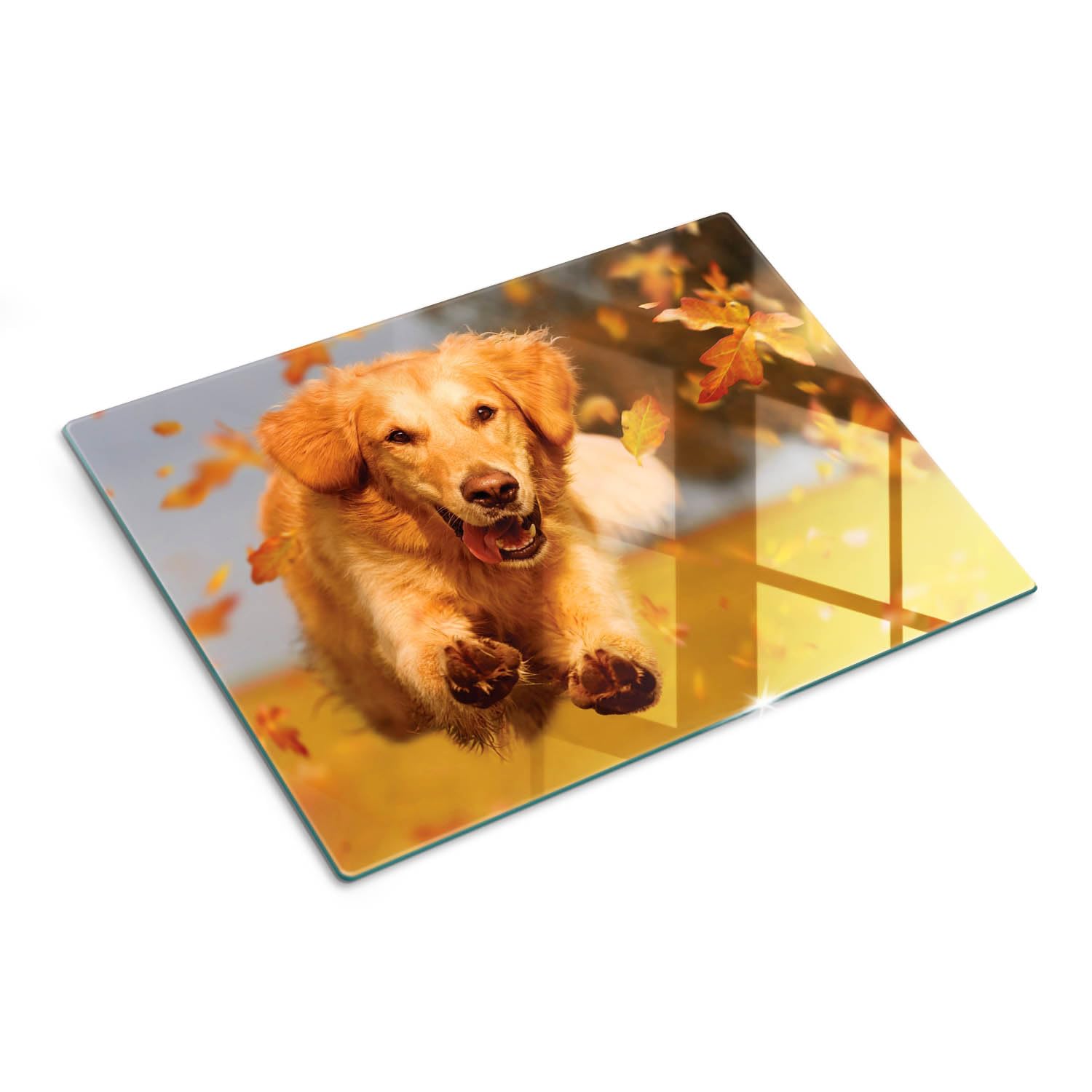 Cristal para cortar en la cocina 40x30 cm Perro Golden Retriever