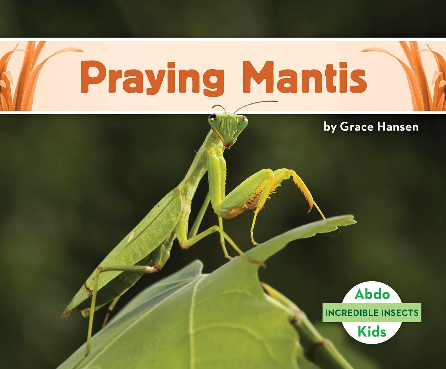 Praying Mantis (Incredible Insects) Paperback – 1 Aug. 2021