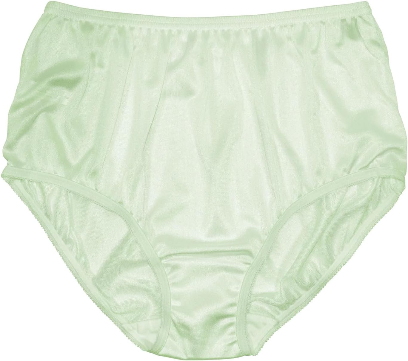 Teri Women's 331 Plain Jane Classic Nylon Silky-Smooth Lightweight Breathable Full Coverage Brief Panty - 4 Pack - Image 3