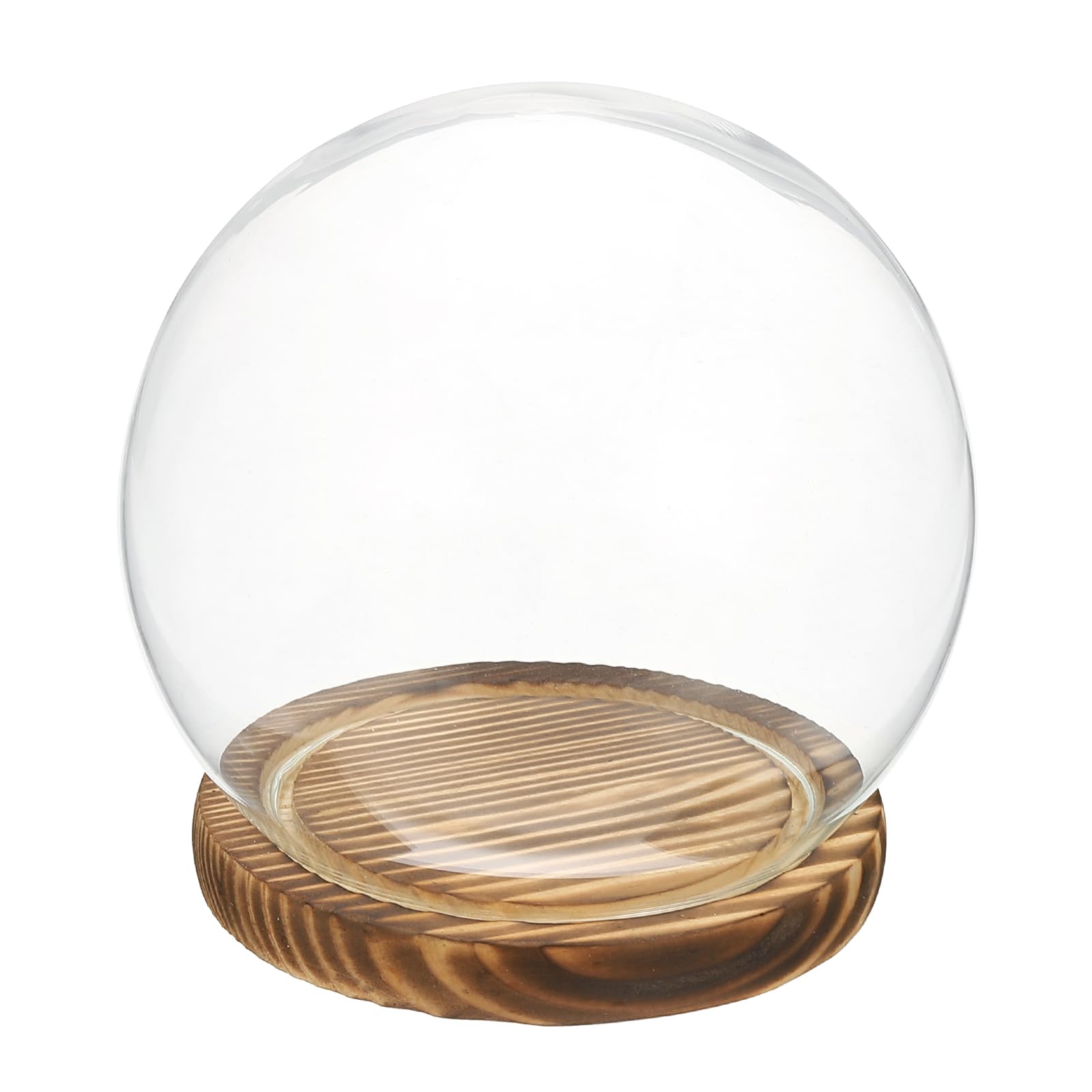 Cloche décorative en verre pour valoriser vos spécimens de plantes et souvenirs