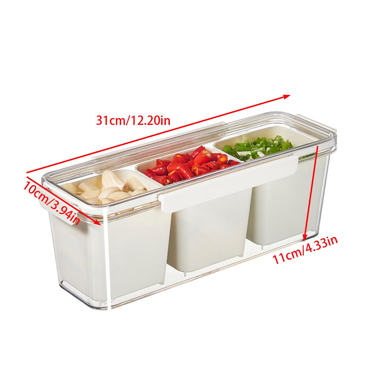 Generisch Contenitore trasparente per spezie con diversi scomparti per uso organizzato in cucina e ristorante. Grande contenitore trasparente per spezie, ideale per la cucina domestica