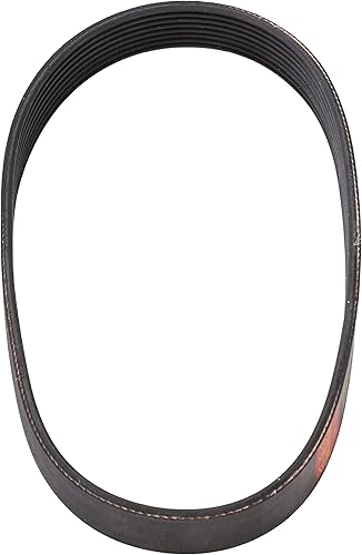 Sun Joe 24V-X2-DTS15-BELT Cinturón de repuesto para Sun Joe 24V-X2-DTS15 inalámbrico Dethacher