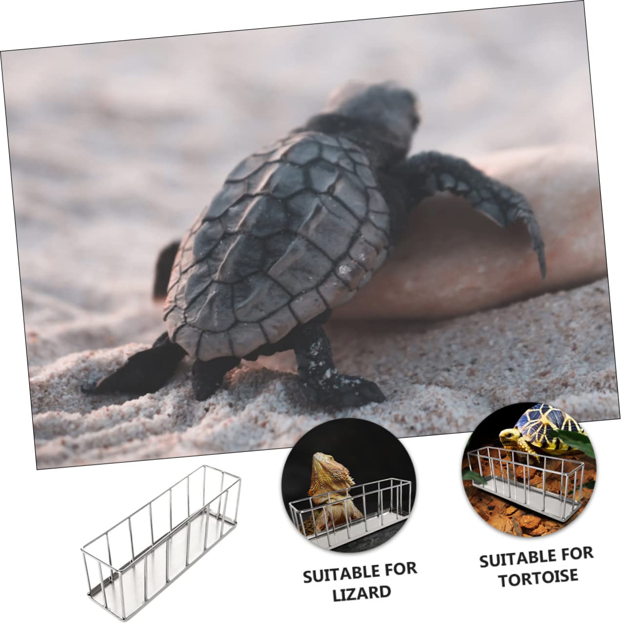 WOONEKY Comedero Inoxidable para Reptiles Plato Antideslizante para Tortugas y Alimentador De Ecológico y para Comida y Agua Diseño y Estable