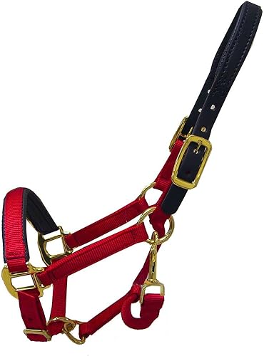 Thornhill Breakaway - Cabestro acolchado color borgoña, sangre cálida