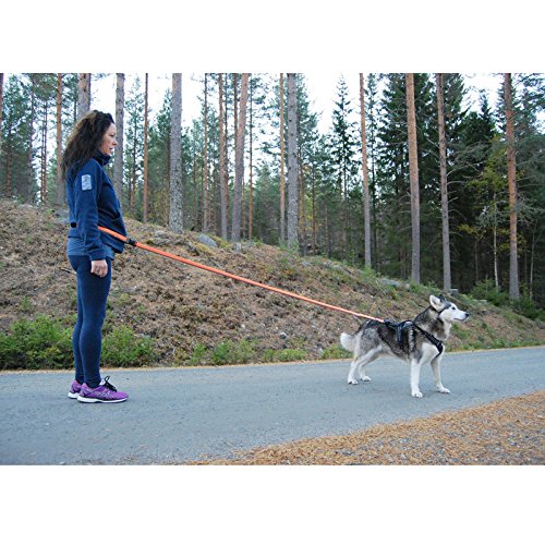 Creation Core Dog Running Bungee Leash with Control Handle Elastic Nylon Pet Leads Rope, Red L