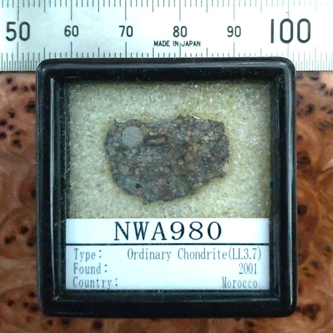 Amazon.co.jp: コンドリュールが綺麗な、NWA980隕石標本 : おもちゃ
