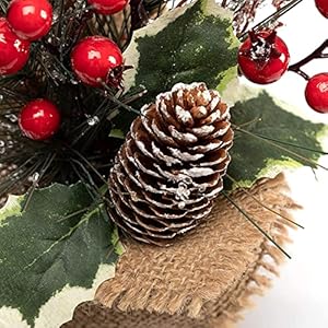 LOHASBEE Mini Christmas Tree, 2PACKS 10-Inch Small Table Top Portable Christmas Tree with Red Berries for Kid Gift Office Tabletop and Room Desktop Holiday Party Decorations LOHASBEE Mini Christmas Tree 2PACKS 10 Inch Small Table Top Portable Christmas Tree with Red Berries for Kid Gift Office Tabletop and Room Desktop Holiday Party Decorations