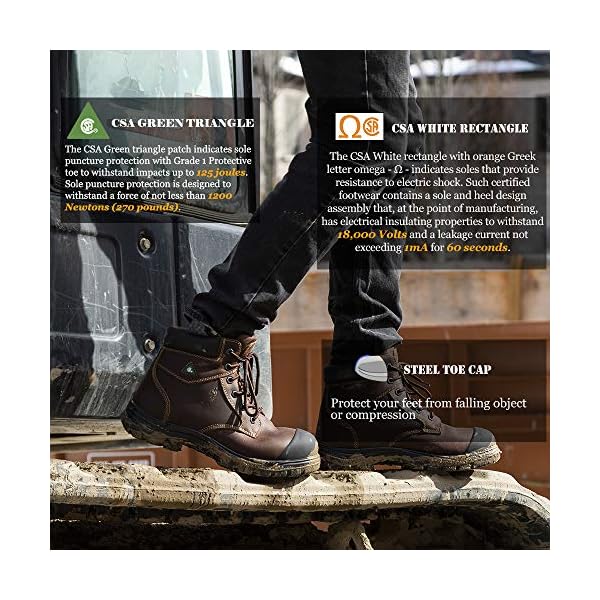 Tiger Safety Men's CSA Approved Steel Toe Work Boots, 6" Comfortable Safety Shoes 3055, Leather, Brown, Size 10.5 X-Wide - Image 4