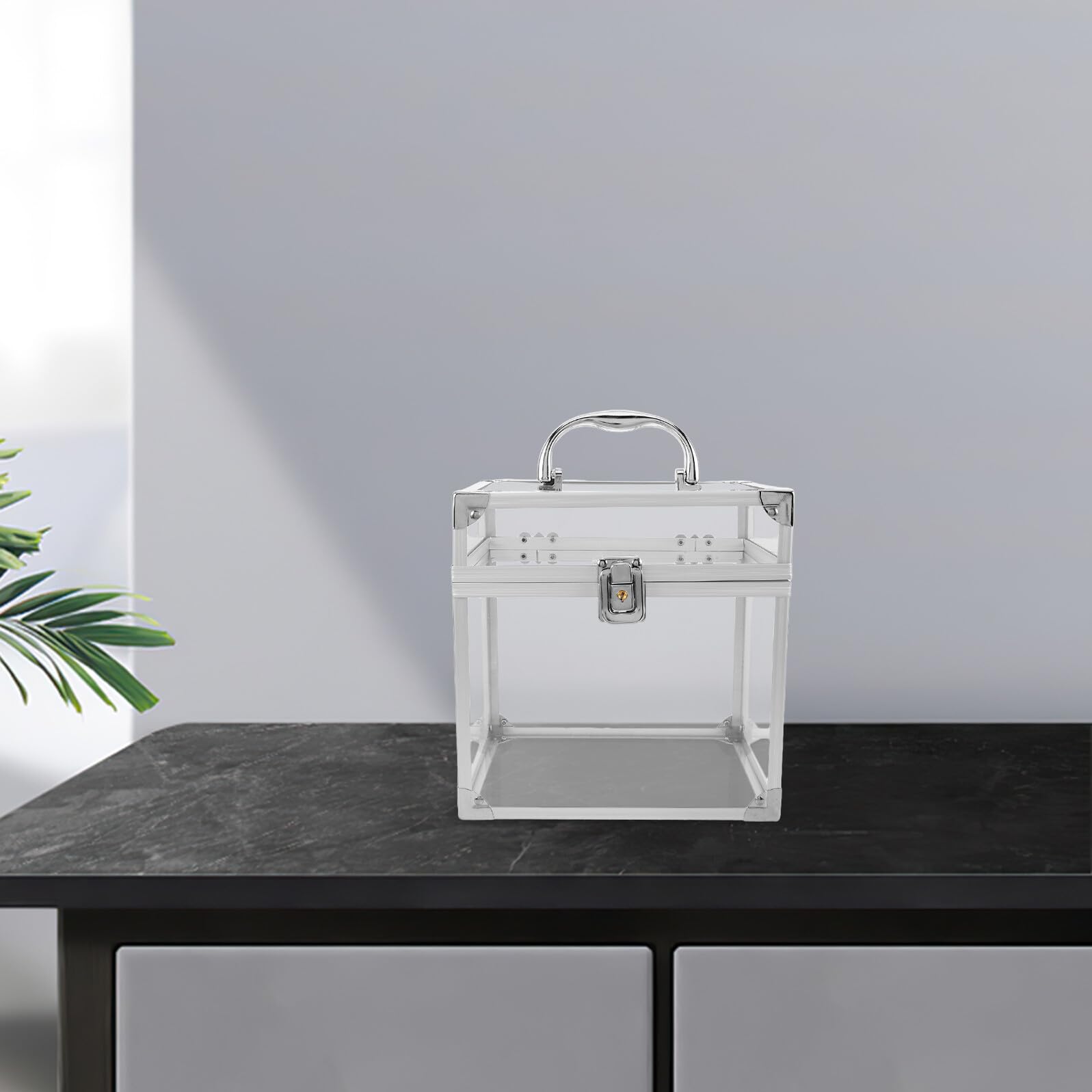 TOPBATHY Scatola Porta Vinili in Acrilico con Manico, Grande Capacità per Dischi e Copertine, Protegge Dalla Polvere, per Studio e Spazio Intrattenimento