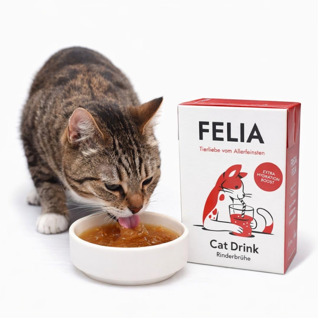 ANIMALUJOS- FELIA Batido de Pollo y Bebida de Ternera para Gatos 10 x 190 g o Mix Alimento Complementario Líquido y Topping Sin Azúcar Fred&FELIA (Pack 10 Unidades, Caldo de Ternera)