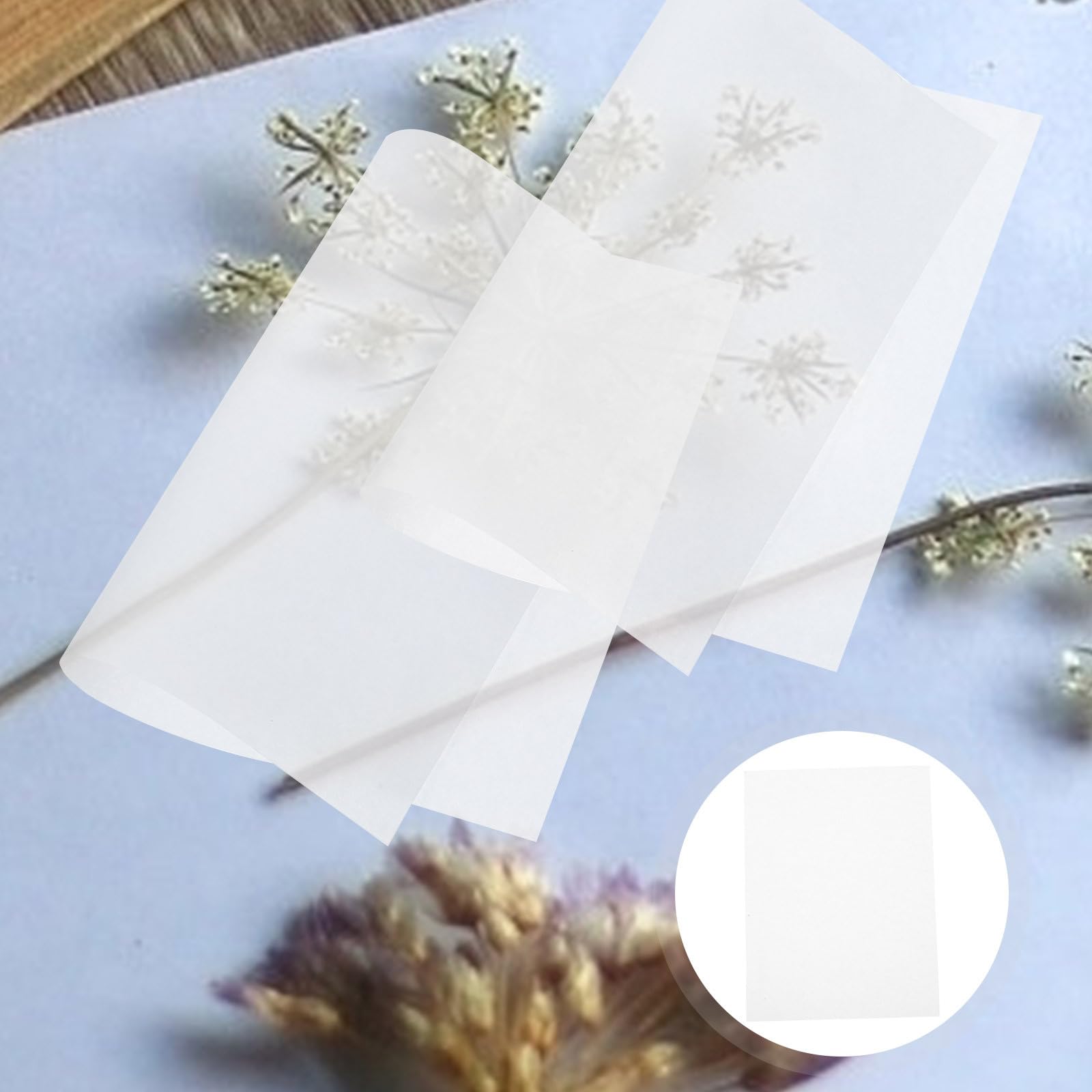 Générique Papier Buvard Blanc pour Presse à Fleurs 30pcs, Facile à Découper et Très Absorbant, Pressage de Fleurs Création DIY