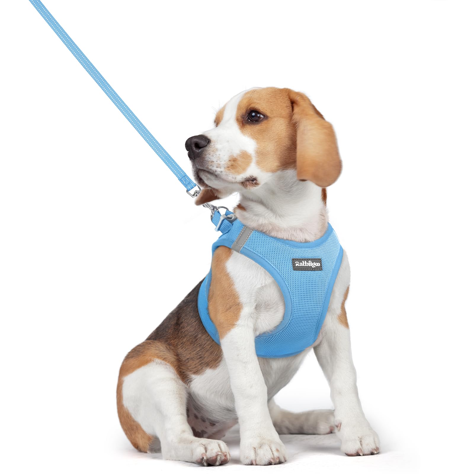 rabbitgoo Dog Harness Small Dog and Leash Set, Step-in Soft Mesh Puppy Harness with Reflective Strips, Lightweight Breathable Pet Vest for Walking Training, Blue, L