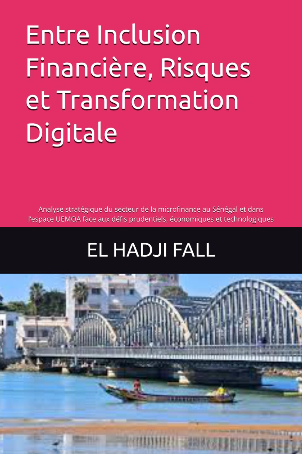 Entre Inclusion Financière, Risques et Transformation Digitale: Analyse stratégique du secteur de la microfinance au Sénégal et dans l’espace UEMOA ... prudentiels, économiques et technologiques