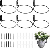 Neiteli 6 Pack 6 Inch Black Metal Wall Plant Hangers - Rust-Resistant Indoor Outdoor Holders for Succulents Herbs