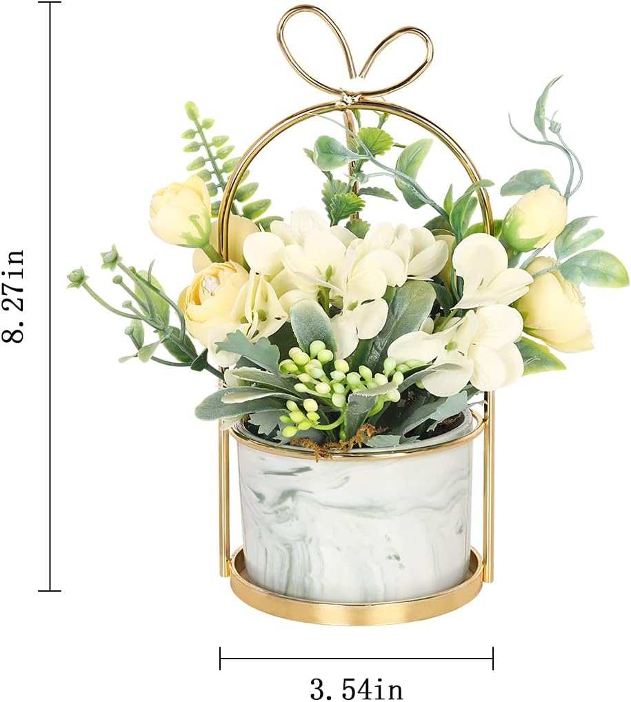 61nMCa1ae5S. AC SL1200