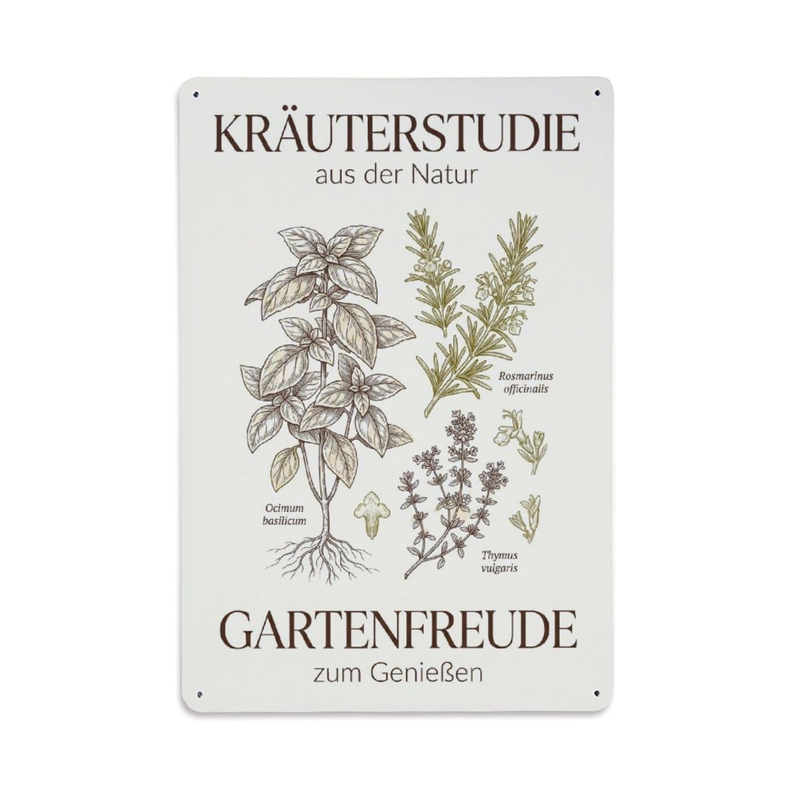 Botanical Herb Study Wholesome Natural Metal Tin Sign Plaque Wall Decor for Cafe, Club Bar, Office, Garden Metal Poster 8x12Inch