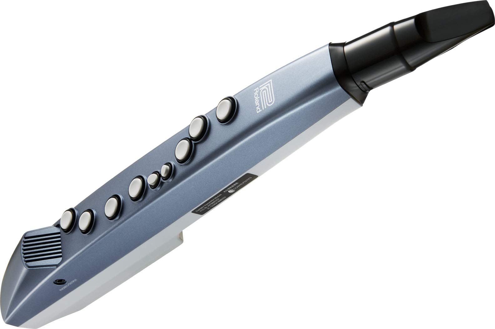 Amazon.com: Roland AE-01 Aerophone Mini Digital Wind