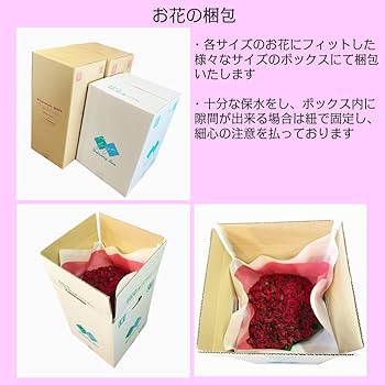 Amazon｜BisesFlower(ビズフラワー)【クール便出荷】国産 白バラ