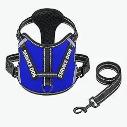 Coleira Peitoral Antipuxão Conforto Total com Guia Ajustável Para Pets | Caminhadas Seguras, Controle Suave e Proteção Anatômica | Cães e Gatos de Médio Porte