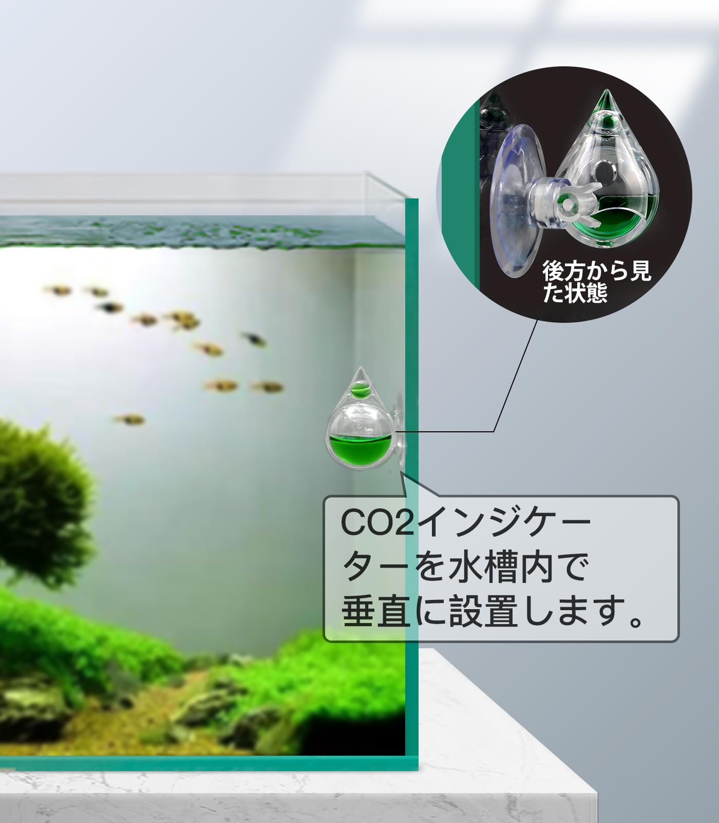 Amazon.co.jp: Clscea AC201-15-JP 水槽水族館水草用 co2
